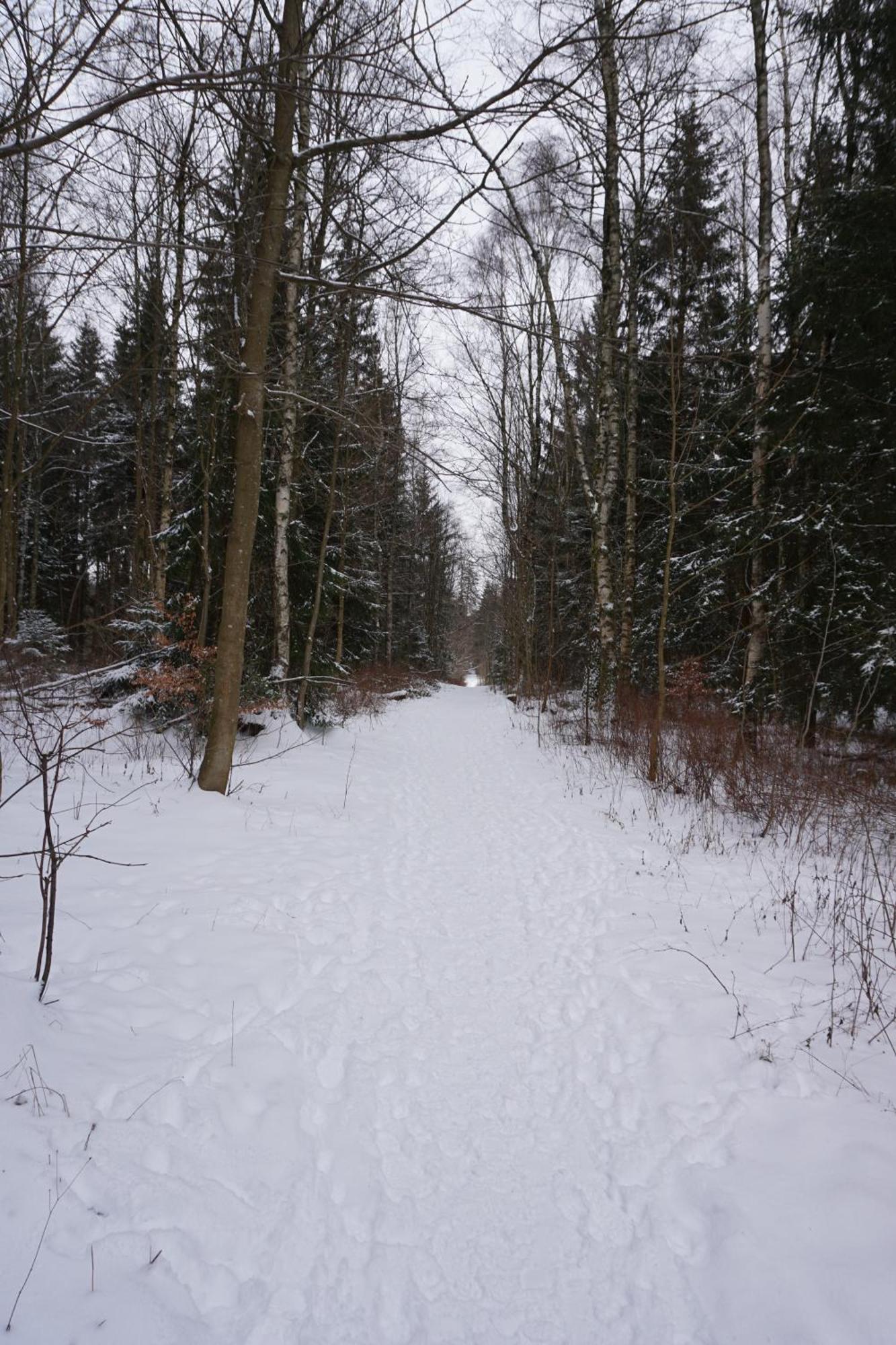 Muggelbude Im Harz Braunlage Exterior foto